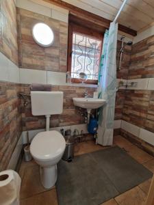 a bathroom with a toilet and a sink at OTO`S CABIN in Radovljica +21 photos