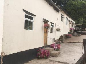 un edificio bianco con dei fiori di fronte di Cottage on Exmoor - Sleeps 8 & Parking a Minehead Altre 5 foto