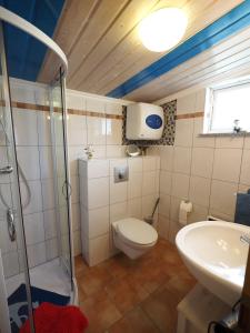 a bathroom with a shower and a toilet and a sink at Rogk, Christa in Zingst