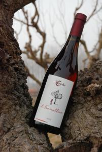 Nápoje v ubytování Agriturismo Le Crede 1930