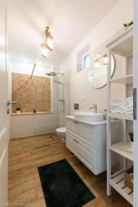 La salle de bains est pourvue d'un lavabo, de toilettes et d'une douche. dans l'établissement Red Fountain Studio, à Braşov
