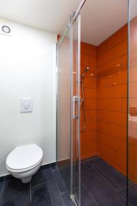 ein Bad mit einem WC und einer Dusche in der Unterkunft Wesselenyi 40 Apartment in Budapest