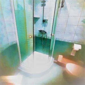 克拉科夫的住宿－Sienna 3 OLD TOWN，带淋浴和卫生间的浴室