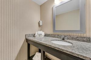 uma casa de banho com um lavatório e um espelho em Buffalo Airport Hotel em Cheektowaga