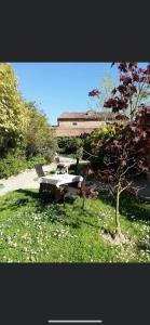 einen Tisch und eine Bank im Gras neben einem Baum in der Unterkunft Casa di Alice in Chioggia