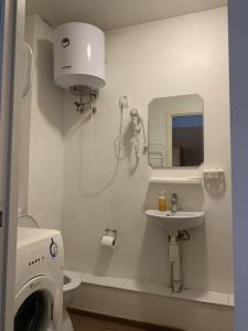 ein Badezimmer mit einer Waschmaschine und einem Waschbecken in der Unterkunft Sala Apartments in Riga
