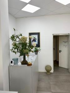 ein Zimmer mit Blumen und Pflanzen auf dem Tresen in der Unterkunft Hotel Wittlicher Hof in Wittlich