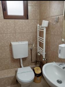 uma casa de banho com um WC e um lavatório em Casa Andreea em Arieşeni