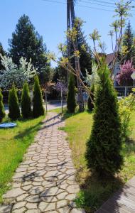 a cobblestone path in a park with trees at #WilkasyPortPlaża in Wilkasy