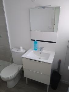 Baño blanco con aseo y lavamanos en La chambre entre Beauval Chenonceau Chambord Amboise, en Montrichard