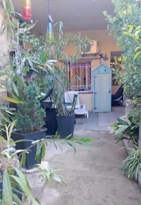 Zahrada ubytování Joli Studio avec jardin
