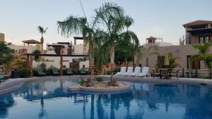 a swimming pool with chairs and a palm tree at Casa Patricia in Loreto