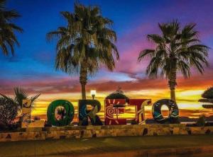 a sign that says love in front of two palm trees at Casa Patricia in Loreto