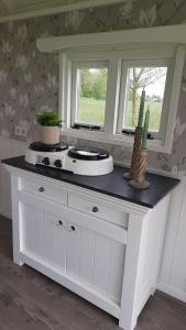 a kitchen counter with a stove and two windows at Pipowagen 't Strunerke in Augustinusga