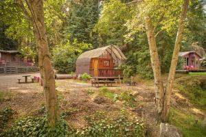 Big Sur Campground and Cabins外面的花园