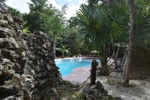 Jolie Jungle Eco Hotel内部或周边的泳池