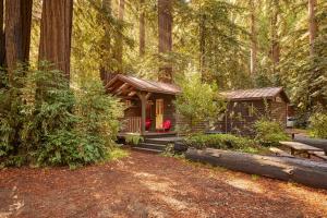 大苏尔Big Sur Campground and Cabins的森林中小屋