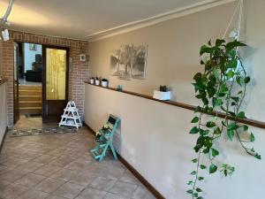 un salon avec une plante en pot et un comptoir dans l'établissement APPARTAMENTI DOLCETURISMO FONTECAIME...RELAX..., à Bevagna 24 autres photos