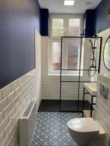 een badkamer met een toilet en een blauwe muur bij Apartament Zwycięzców 2 in Stargard