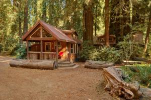 a log cabin in the middle of a forest at Big Sur Campground and Cabins in Big Sur