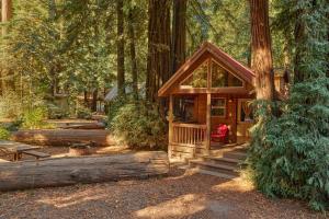 大苏尔Big Sur Campground and Cabins的森林中间的小木屋 更多16张照片