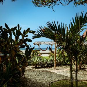 a view of a garden with plants and a hammock at Cabañas La Tortuga in Ayampe