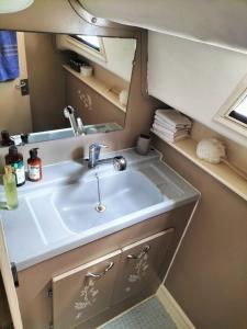 a bathroom with a sink and a mirror at 1 ou 2 chambres cosy sur une charmante pénichette de 11 m - Pour plus de détails, veuillez consulter notre profil in Marseillan