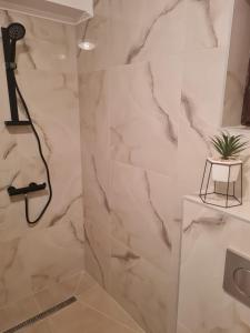 a bathroom with a shower with marble walls at Flowers in the Center in Oradea +9 photos