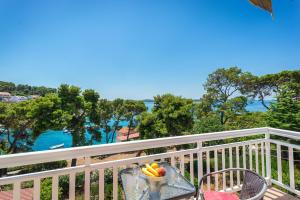 Příroda nedaleko apartmánu + 37 fotografií