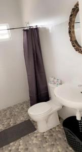 a bathroom with a toilet and a sink and a mirror at Apartment Curacao in Willemstad