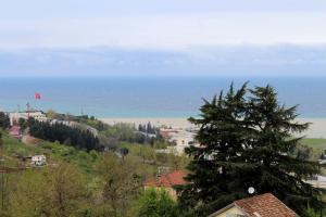a town on a hill with the ocean in the background at Kaya Home Apart Otel in Trabzon