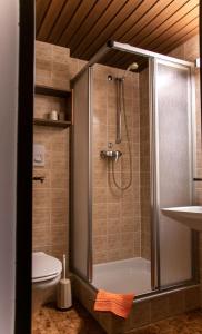 a bathroom with a shower and a toilet at Hotel Marko in Oetz