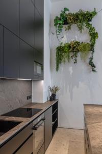 eine Küche mit Pflanzen, die an einer Wand hängen in der Unterkunft City Center Apartment Telegraph in Wien