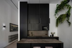 eine Küche mit schwarzen Schränken und einem Waschbecken in der Unterkunft City Center Apartment Telegraph in Wien
