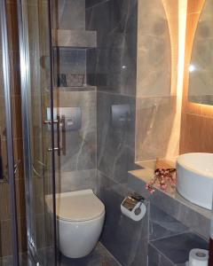 y baño con aseo y lavamanos. en Aqua Mare Hotel en Nea Kalikratia