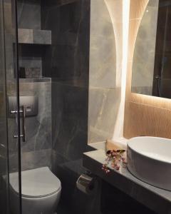 y baño con aseo, lavabo y espejo. en Aqua Mare Hotel, en Nea Kalikratia