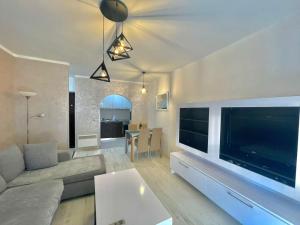 a living room with a couch and a large television at Family One bedroom apartment with Garden view in Budva