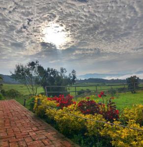 a brick walkway with flowers in a field at La Reliquia - Tausa in Barranquilla
