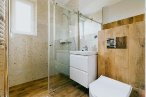 a bathroom with a toilet and a shower at AQUA in Karwia