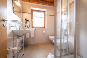 ein Bad mit einem WC, einem Waschbecken und einer Dusche in der Unterkunft Apartments Nature Apis Landheim in Anterselva di Mezzo