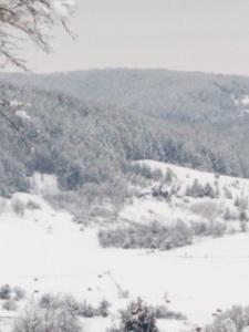 Příroda nedaleko apartmánu