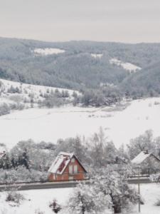 Příroda nedaleko apartmánu
