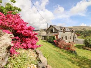 a house with pink flowers in front of it at Beudy Penarddwnion in Dolgellau