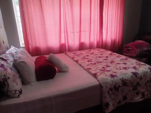 een slaapkamer met roze gordijnen en een bed met kussens bij Randgate guesthouse in Randfontein