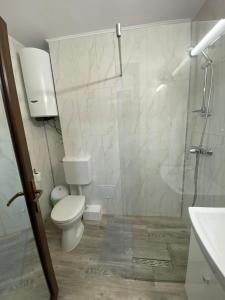 Un baño con inodoro y ducha de cristal. en Apartament olimp 2 camere, en Olimp