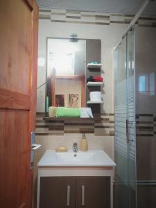 uma casa de banho com um lavatório, um chuveiro e um espelho. em Summit Apartment em Žabljak