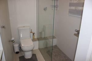 uma casa de banho com um WC e uma cabina de duche em vidro. em A homely and secure 2 bedroom with uncapped Wifi em Joanesburgo