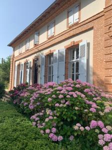 dom z różowymi kwiatami przed nim w obiekcie Gite ANDA- piscine- Montauban - Lacourt-Saint-Pierre w mieście Lacourt-Saint-Pierre
