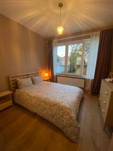 1 dormitorio con cama y ventana grande en Superbe appartement avec jardin, sauna et jacuzzi, en Bruselas
