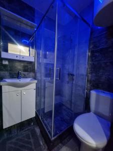 a bathroom with a shower and a toilet and a sink at Drinska prica 2 in Loznica
